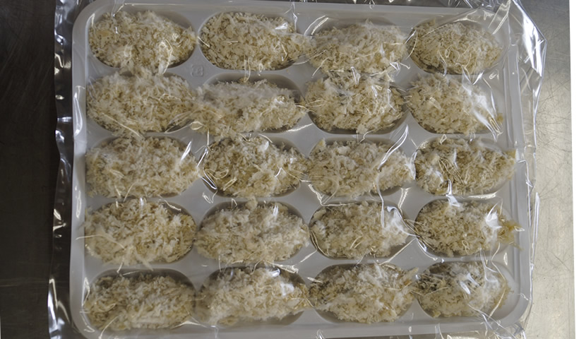 冷凍カキフライ商品写真